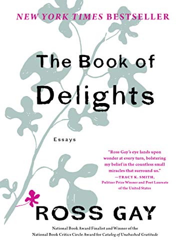 The Book of Delights book cover