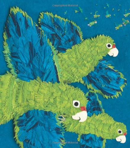 Parrots Over Puerto Rico book cover