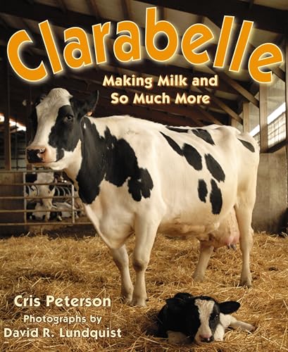 Clarabelle: Making Milk and So Much More book cover