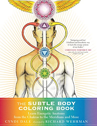 The Subtle Body Coloring Book: Learn Energetic Anatomy--from the Chakras to the Meridians and More book cover