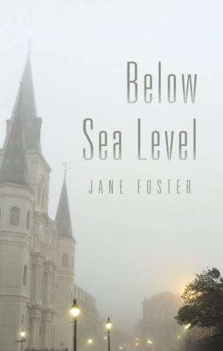 Below Sea Level book cover