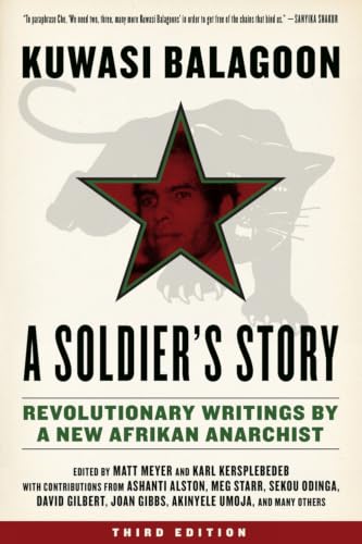 A Soldier's Story: Revolutionary Writings by a New Afrikan Anarchist book cover