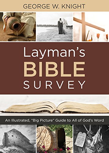 Layman's Bible Survey: An Illustrated, "Big Picture" Guide to All of God's Word book cover