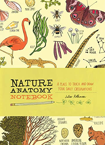 Nature Anatomy Notebook: A Place to Track and Draw Your Daily Observations book cover