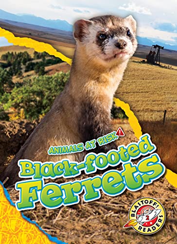 Read Black-footed Ferrets (Animals At Risk!: Blastoff Readers, Level 2)