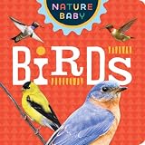 Nature Baby Birds