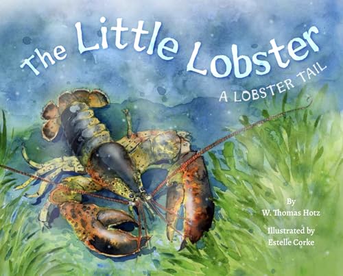 The Little Lobster