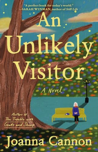 An Unlikely Visitor: A Novel