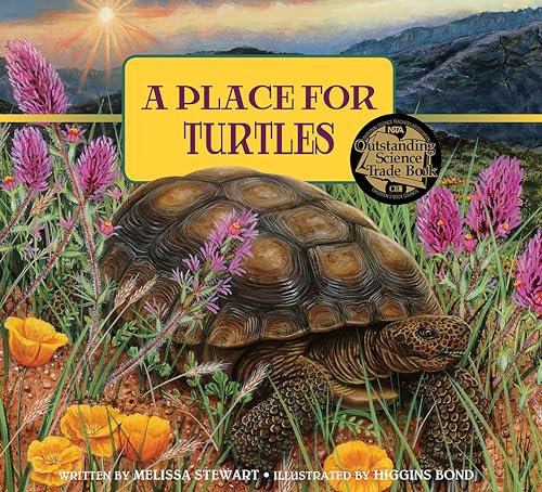 A Place for Turtles book cover