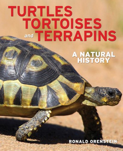 Turtles, Tortoises and Terrapins: A Natural History book cover
