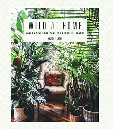 Wild at Home: How to style and care for beautiful plants book cover