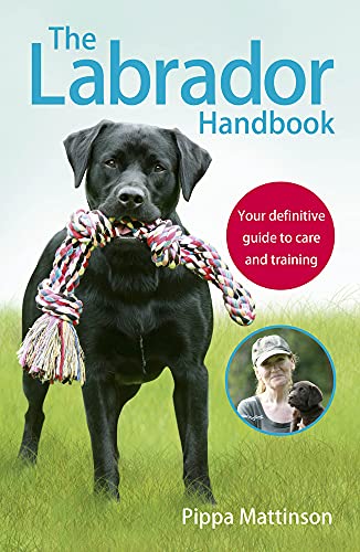 The Labrador Handbook: The definitive guide to training and caring for your Labrador book cover