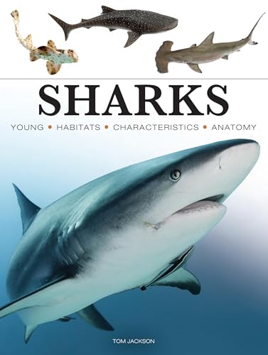 Read Sharks & Underwater Predators (Mini Encyclopedias)