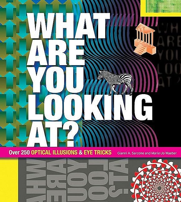 What Are You Looking At?: Over 250 Optical Illusions & Eye Tricks book cover