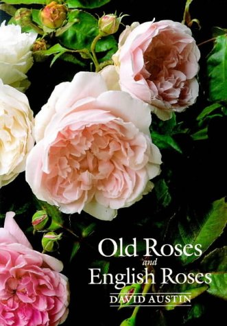 Old Roses and English Roses book cover