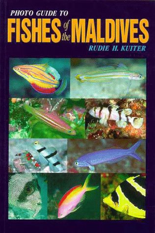 Photo Guide To Fishes Of The Maldives book cover