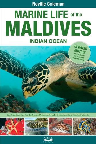 Marine Life of the Maldives - Indian Ocean book cover