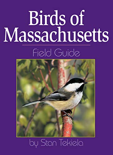 Birds of Massachusetts Field Guide book cover