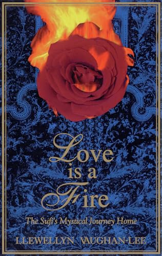 Love Is a Fire and I Am Wood: The Sufi's Mystical Journey Home book cover