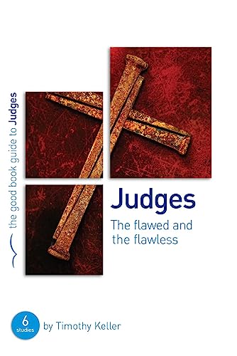 Judges: The Flawed and the Flawless book cover
