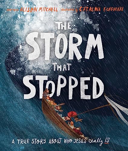 The Storm That Stopped book cover