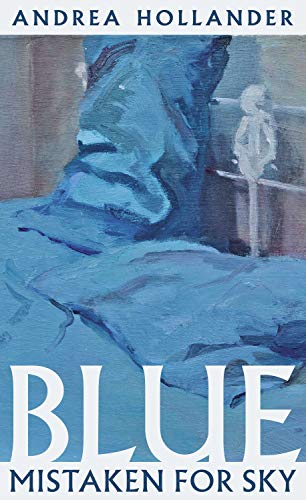 Blue Mistaken for Sky book cover