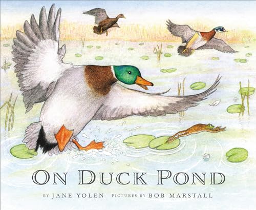 On Duck Pond book cover