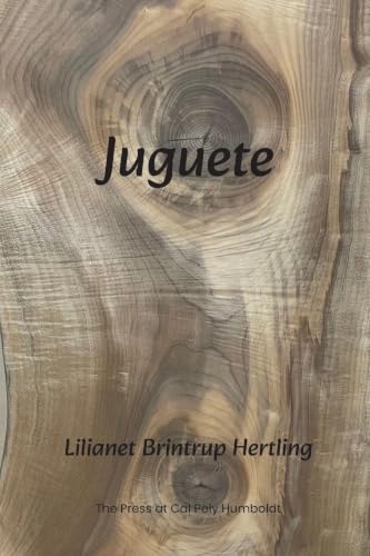 Juguete (Spanish Edition)