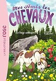 Mes amis les chevaux 08 - Le loup solitaire
