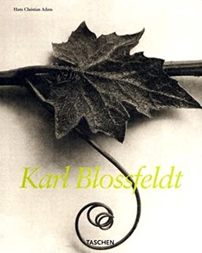 Karl Blossfeldt (TASCHEN Icons Series)