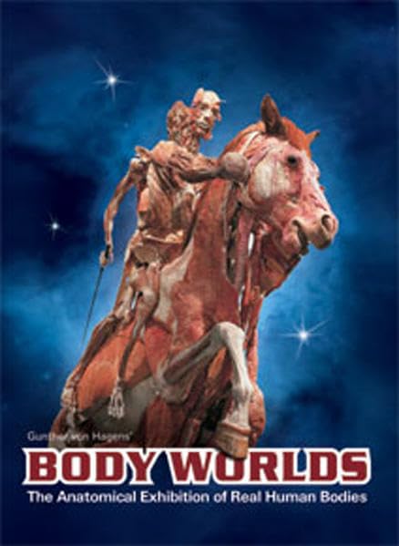 Body Worlds The Original Exhibition of Real Human Bodies - Catalog book cover