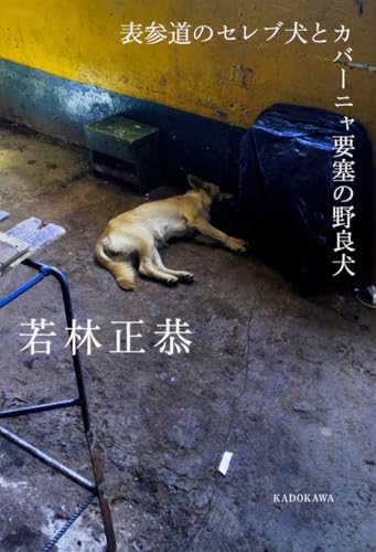 表参道のセレブ犬とカバーニャ要塞の野良犬 - 若林正恭