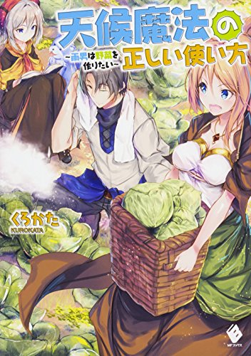 天候魔法の正しい使い方