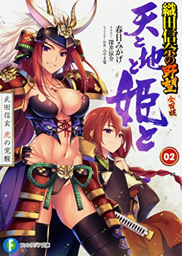 天と地と姫と. 2
