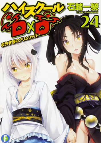 ハイスクールD×D. 24
