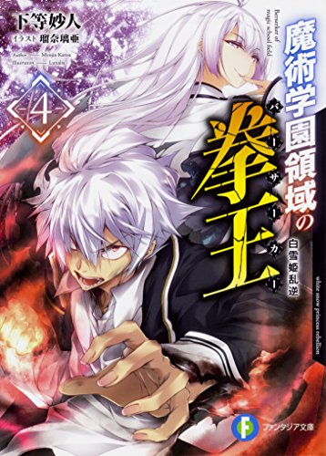 魔術学園領域の拳王(バーサーカー). 4