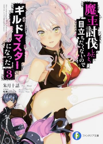 魔王討伐したあと、目立ちたくないのでギルドマスターになった. 3