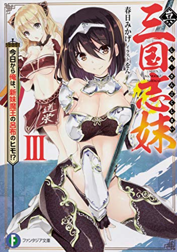 真・三国志妹. 3