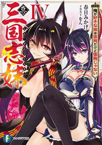 真・三国志妹. 4