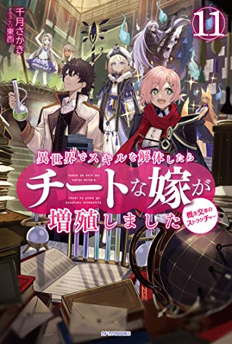 異世界でスキルを解体したらチートな嫁が増殖しました : 概念交差のストラクチャー. 11