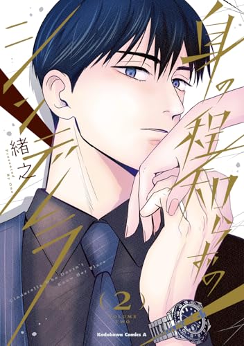 身の程知らずのシンデレラ 2巻