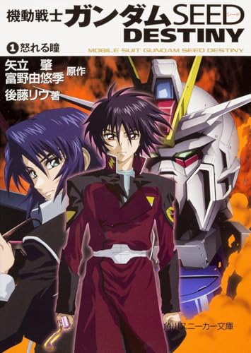 機動戦士ガンダムSEED DESTINY