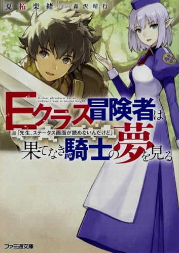 Eクラス冒険者は果てなき騎士の夢を見る