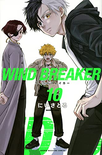 WIND BREAKER 10 - にいさとる
