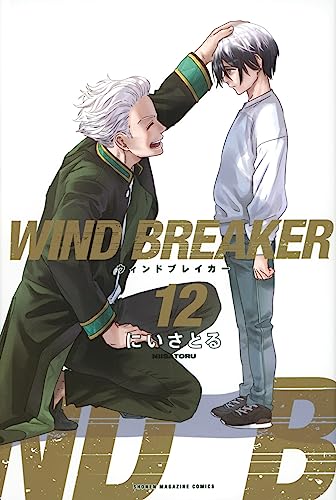 WIND BREAKER 12 - にいさとる