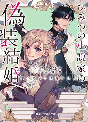 ひみつの小説家