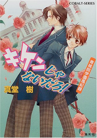 青桃院学園風紀録