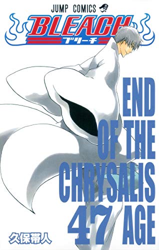 BLEACH 47 - 久保帯人