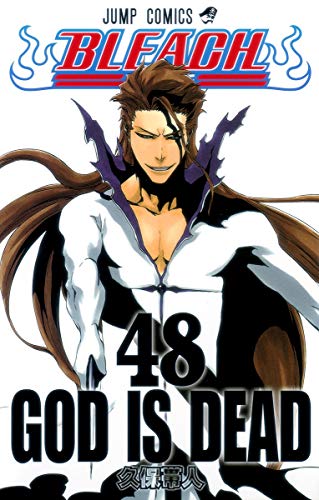 BLEACH 48 - 久保帯人