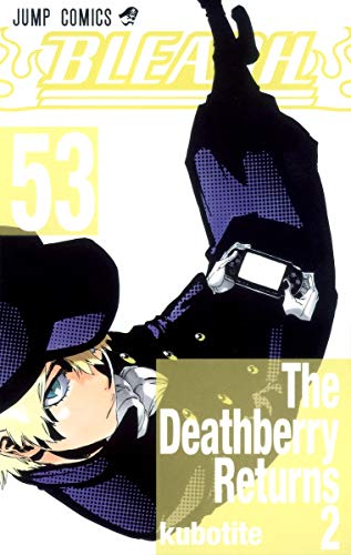 BLEACH 53 - 久保帯人